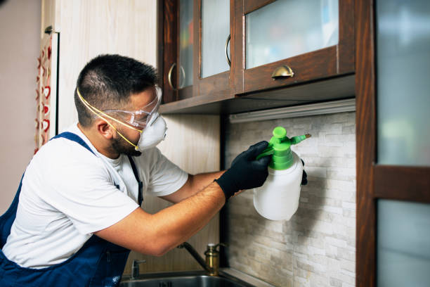 Best Pest Inspection Near Me  in Crest Hl, IL