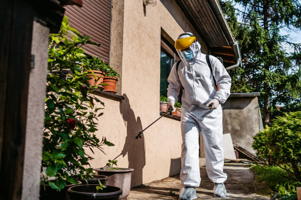 Best Rat Extermination Near Me  in Crest Hl, IL