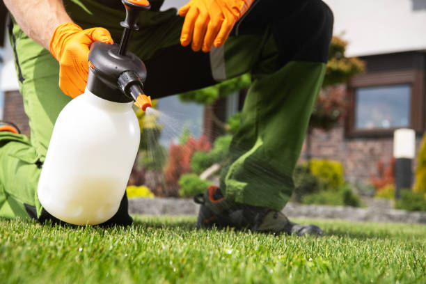 Best Best Pest Control Companies  in Crest Hl, IL