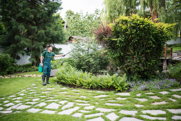 Professional Pest Control in Crest Hill, IL