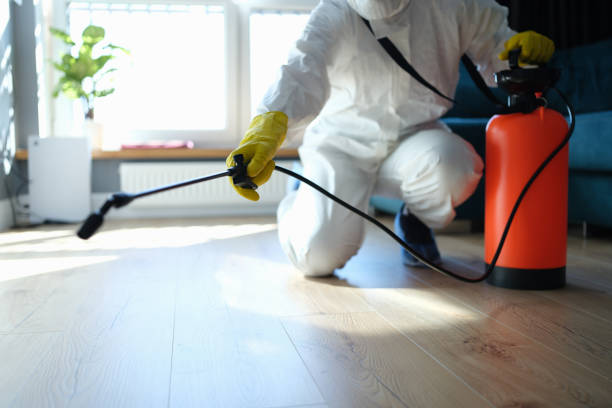 Trusted Crest Hill, IL Pest Control Experts