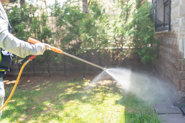 Spider Control Near Me in Crest Hill, IL