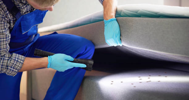 Pest Control Cost in Crest Hill, IL