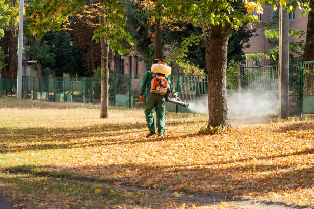 Best Termite Control Services  in Crest Hl, IL