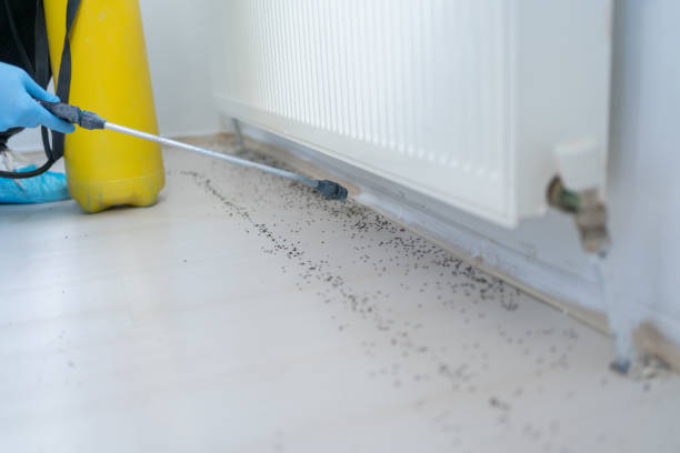 Best Ant Control Services  in Crest Hl, IL