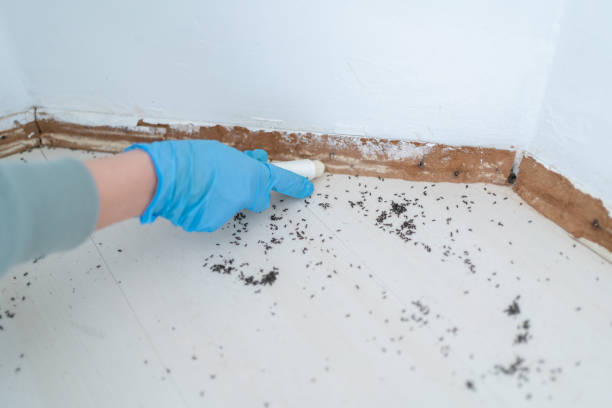 Best Exterminator Services  in Crest Hl, IL