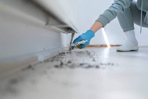Best Ant Control Services  in Crest Hl, IL