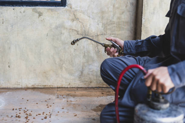 Best Wasp Removal Services  in Crest Hl, IL